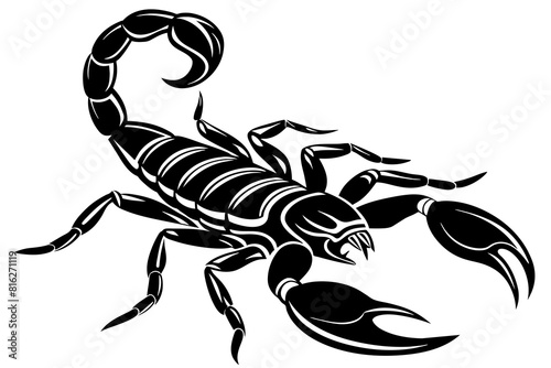 scorpion line art silhouette illustration