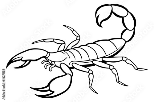 scorpion line art silhouette illustration