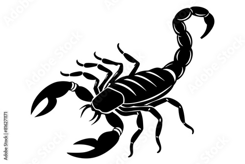 scorpion line art silhouette illustration