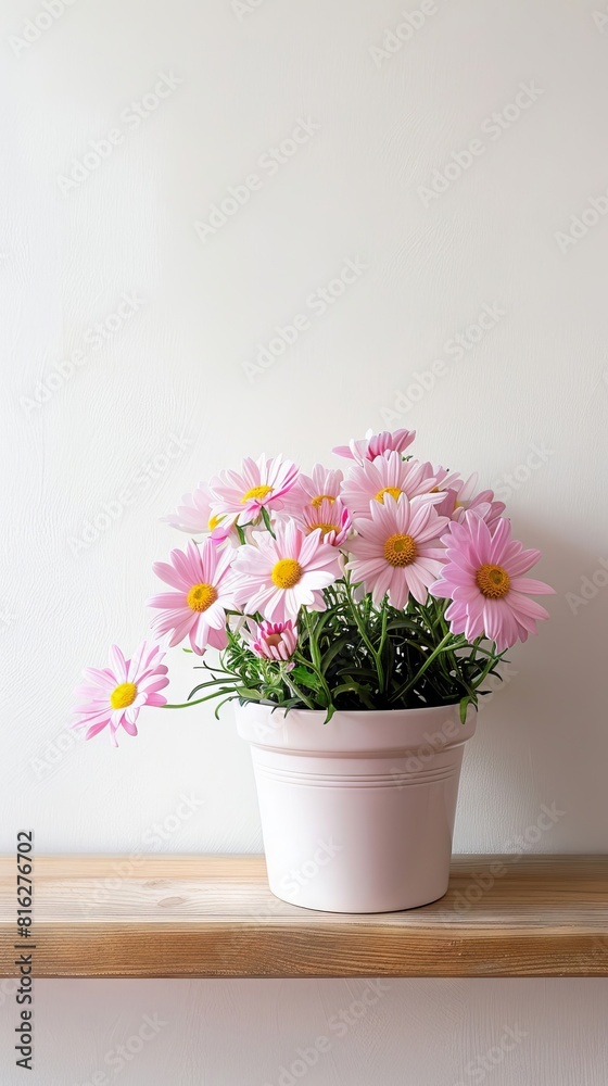 Daisy background with copy space. Daisy background with copy space.