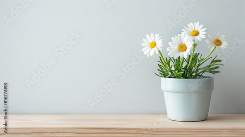 Wallpaper Mural Daisy background with copy space. Torontodigital.ca