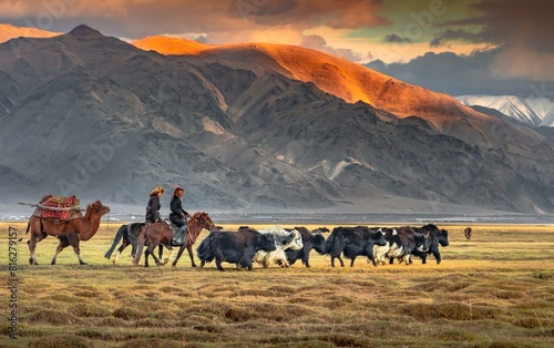 Shepherds riding horses to an autumn camp, with bactrian camels and herd Yaks (Bos grunniens), nomadic life, Bayan-Ulgii Province, Mongolia, Asia photo