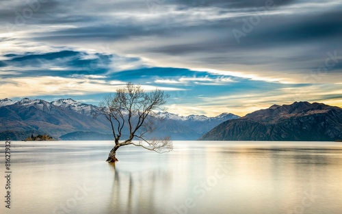 Wanaka tree, single tree standing in the water of Wanaka Lake, in the back mountain range of the snow-covered New Zealand Alps, Wanaka, Otago, South Island, New Zealand, Oceania