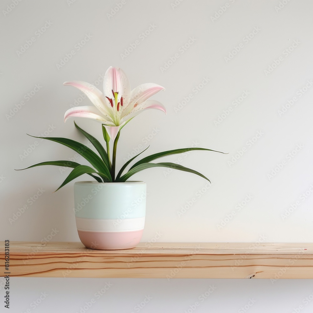 Lily background with copy space. Lily background with copy space.