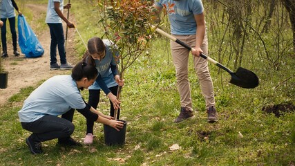 Team of volunteers planting trees around forest area for nature preservation and protection, doing voluntary work for a conservation project. Climate change activists plant seedlings. Camera A.