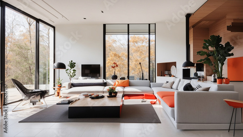 modern living room with sofa