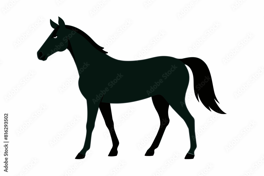 horse cartoon vector illustration