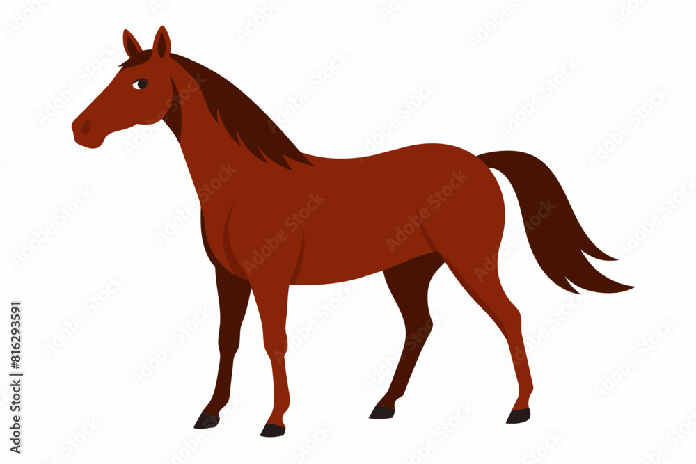 horse cartoon vector illustration horse cartoon vector illustration