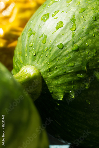 Macro photo of the skin of the pumpkin. Concept of greens and vegetables.