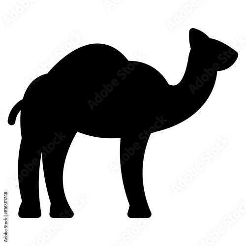 Camel Graphic  icon Design vector