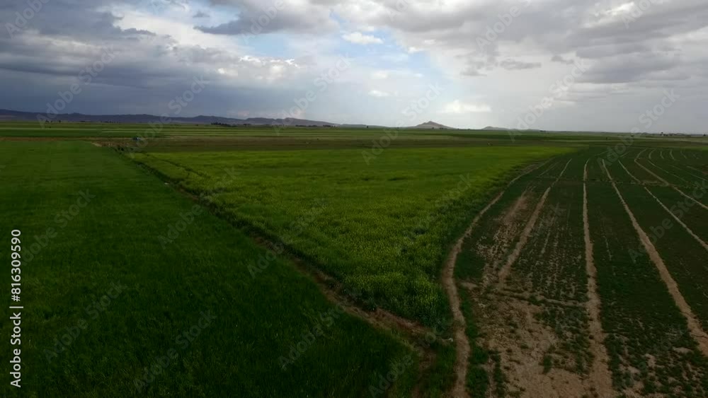 a farmland on the verge of blooming, surrounded by lush green fields under a cloudy sky, showcasing peaceful and harmonious. a farmland on the verge of blooming, surrounded by lush green fields under a cloudy sky, showcasing peaceful and harmonious.
