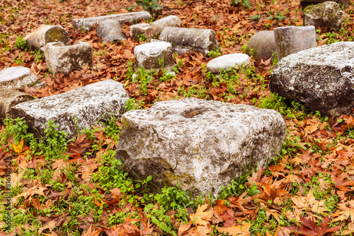 Autumn Leaves and Smooth Stones photo