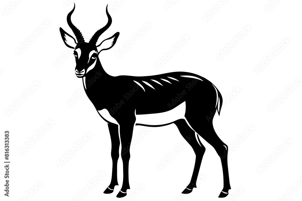 pronghorn vector silhouette illustration pronghorn vector silhouette illustration