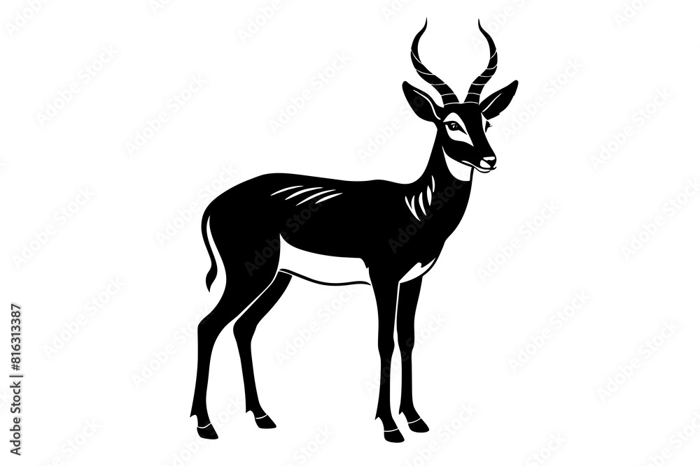 pronghorn vector silhouette illustration pronghorn vector silhouette illustration