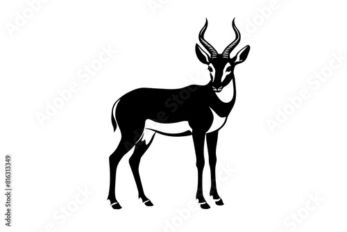 pronghorn vector silhouette illustration