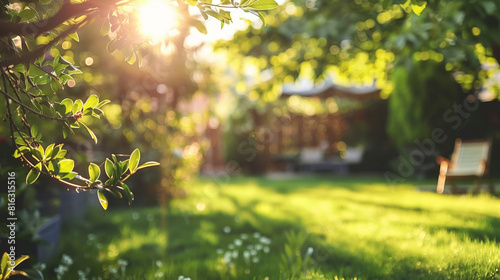 Sunlit Backyard Oasis  Lush Greenery