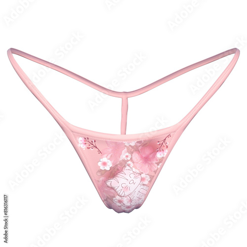 Obraz na plátně Panties Underwear Female Fashion Cloth isolated 3d rendered illustration