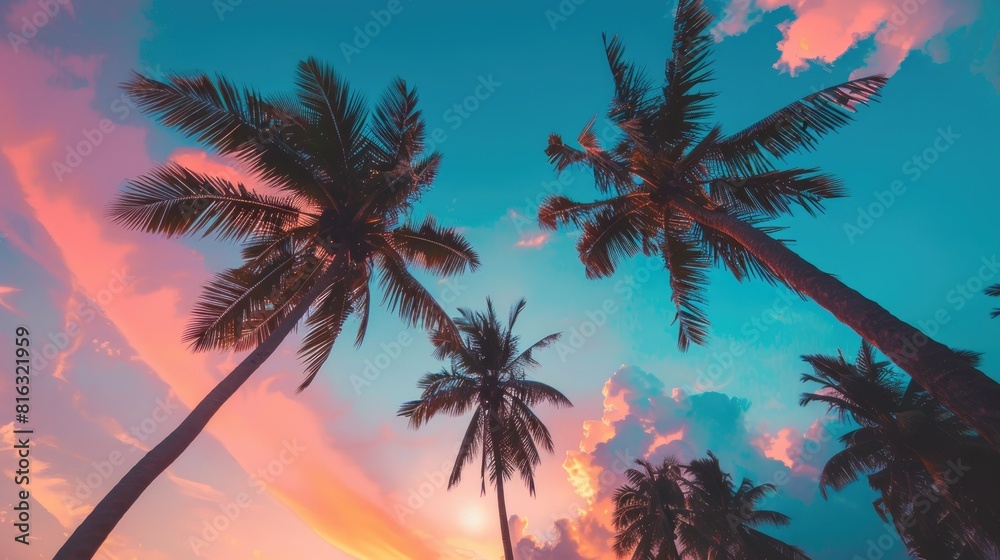 Coconut trees and colorful sky at a tropical beach Coconut trees and colorful sky at a tropical beach