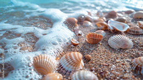 Seashell splendor on the shoreline © Denys