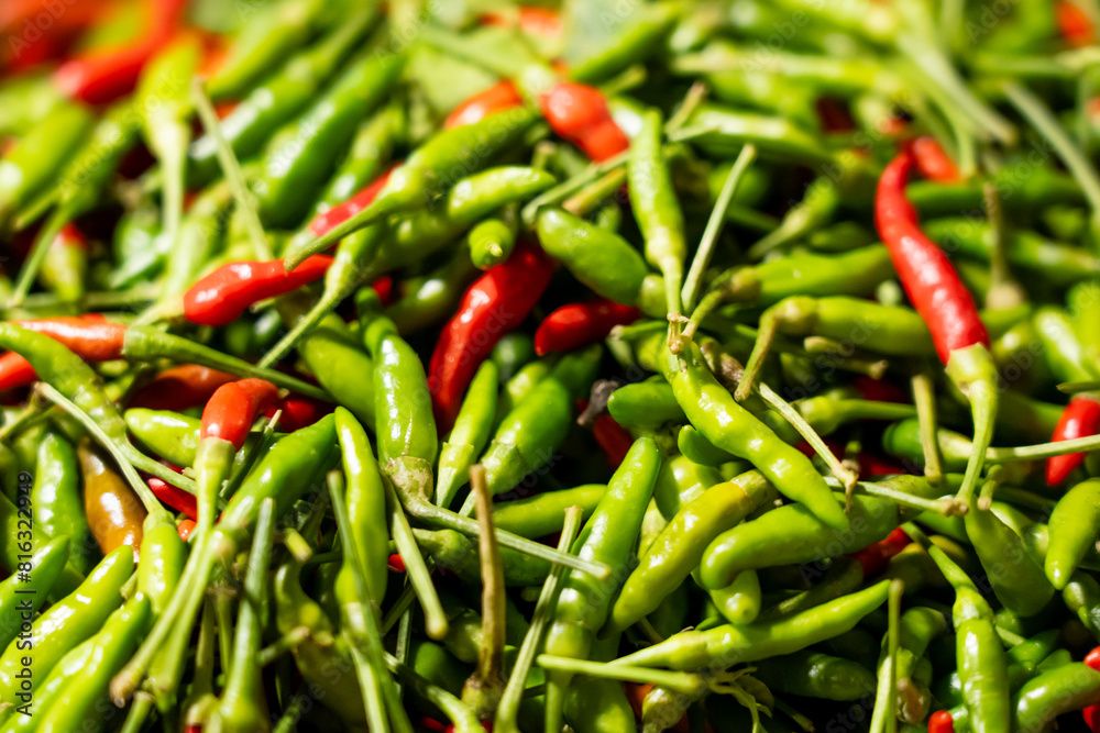 Spicy bird's eye chillies are ready for sale in the market Spicy bird's eye chillies are ready for sale in the market