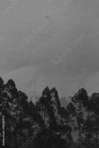 fog and rainy mountains