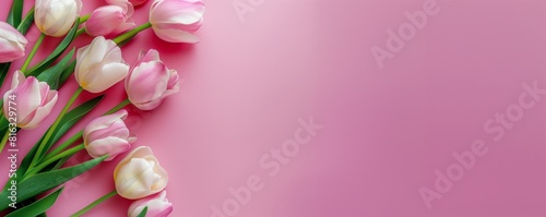 Soft Pink Tulips on a Gentle Pink Background  Left-Aligned Floral Arrangement with Ample Right Copy Space