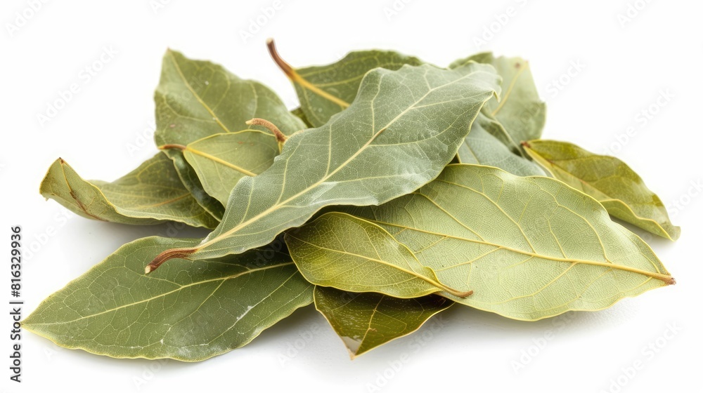 Isolated aromatic bay leaves on white background cutout Isolated aromatic bay leaves on white background cutout
