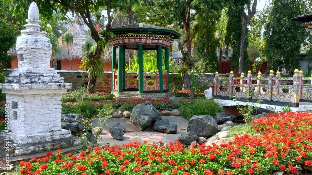 Orchids, tropical garden, orchid garden in Thailand Orchids, tropical garden, orchid garden in Thailand