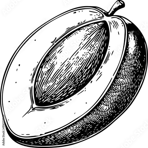 Detailed Pen Drawing of a Halved Plum Fruit