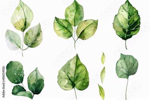 Artistic Illustration of Leaves with Varying Shades and Sizes