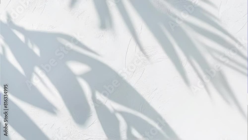 Wallpaper Mural Abstract Shadows Concept. Abstract palm leaf shadows moving gently on a white wall, suitable for art, design, or abstract projects.  Video background Torontodigital.ca
