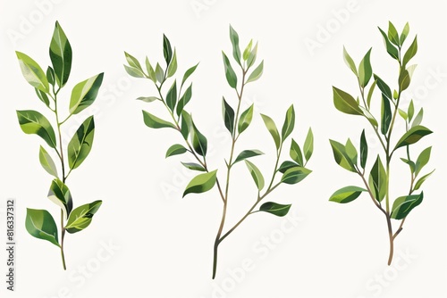 Obraz na płótnie Set of Three Leafy Plants in a Vector Graphic w salonie