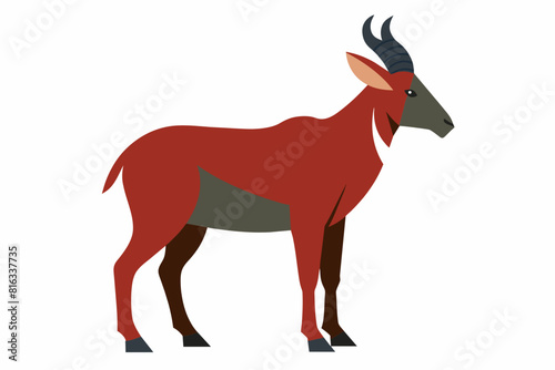 mountain goat cartoon vector illustration