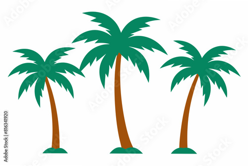 palm tree vector illustration