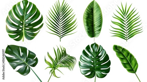 Set of Tropical leaves isolated on white background. Beautiful tropical exotic foliage AI generated