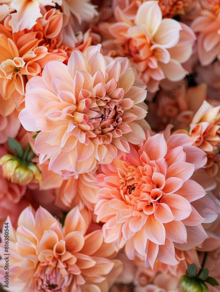 peach color flower bouquet arrangement, ai peach color flower bouquet arrangement, ai