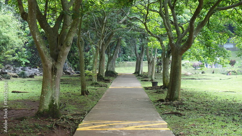 A straight walking or running path in the garden or park with tall green trees next to the path; landscape photography; luscious greenery along the walking path in a garden park