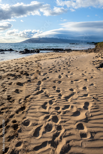 Many footprints in golden sand on the beach leading around the coastline at sunset  Kamaole Beach Park III  Maui  Hawaii 