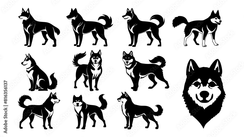Set of siberian husky silhouette vector illustration