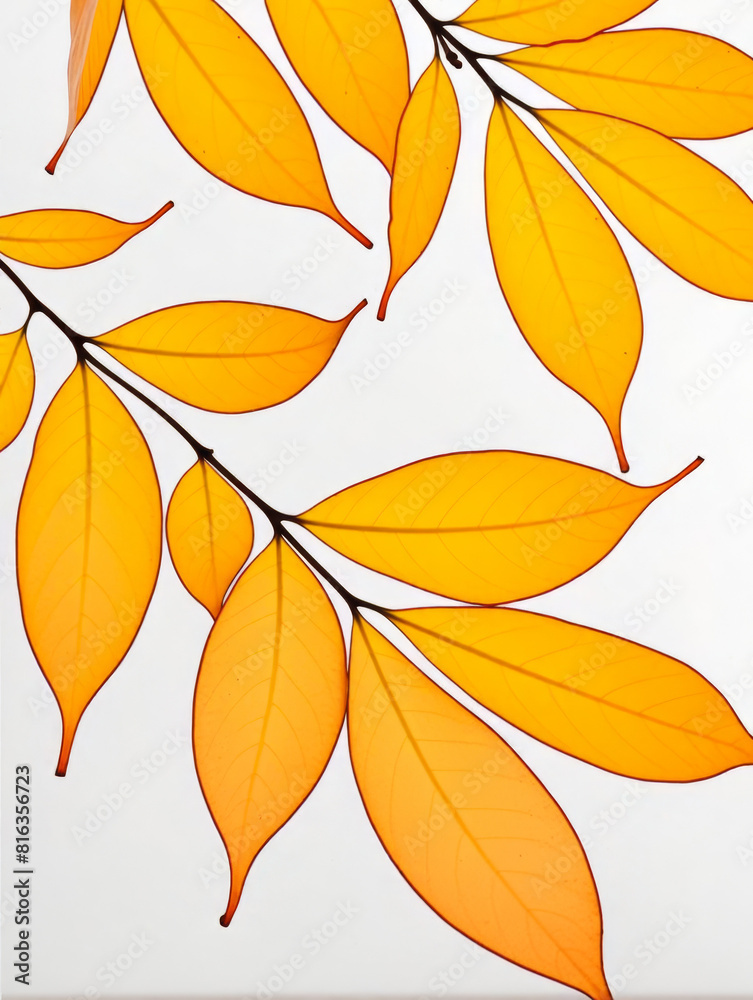 Obraz premium Leaf/leaves/brown/yellow
