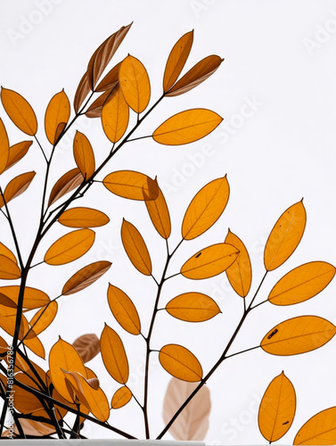 Leaf/leaves/brown/yellow
