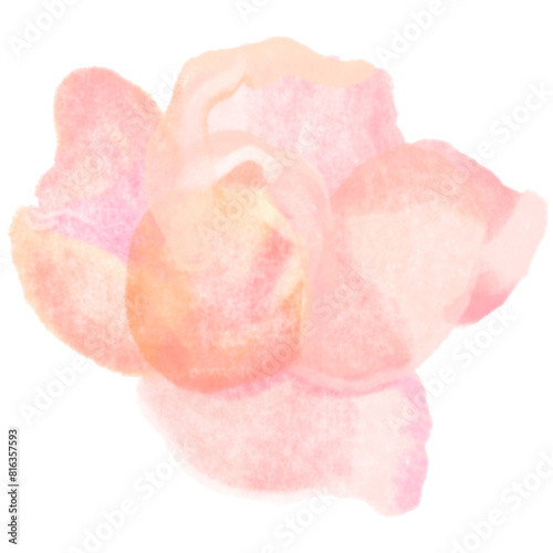 Flower watercolor painting colorfull