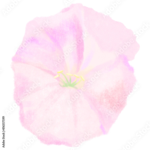 Flower watercolor painting colorfull