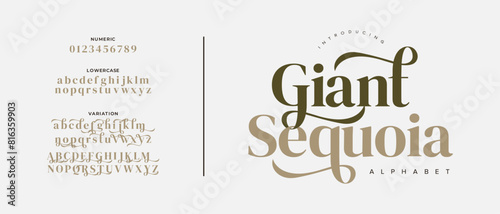 Giant elegant font alphabet uppercase lowercase and number. Classic lettering minimal fashion designs. Typography modern serif fonts regular decorative vintage concept. Vector illustration