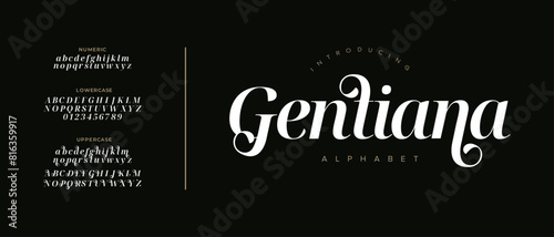 Gentiana elegant font alphabet uppercase lowercase and number. Classic lettering minimal fashion designs. Typography modern serif fonts regular decorative vintage concept. Vector illustration