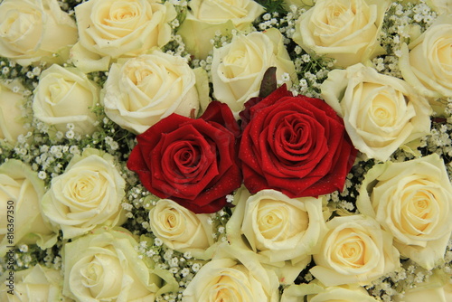 red roses in a white bouquet