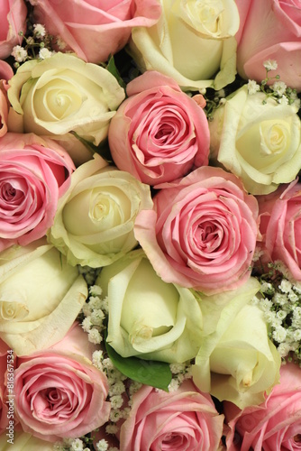 Pink and white wedding roses