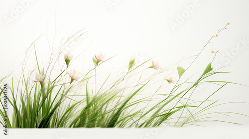 "Green Grass on White Background: Fresh and Simple"