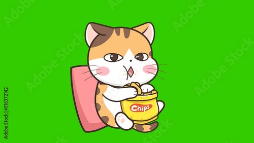 Animated Cat Sitting and Eating Potato Chips Green Screen