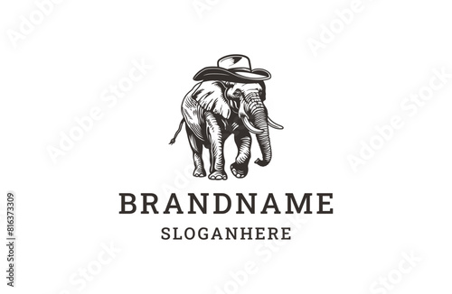 Elephant hat logo template vector illustration design